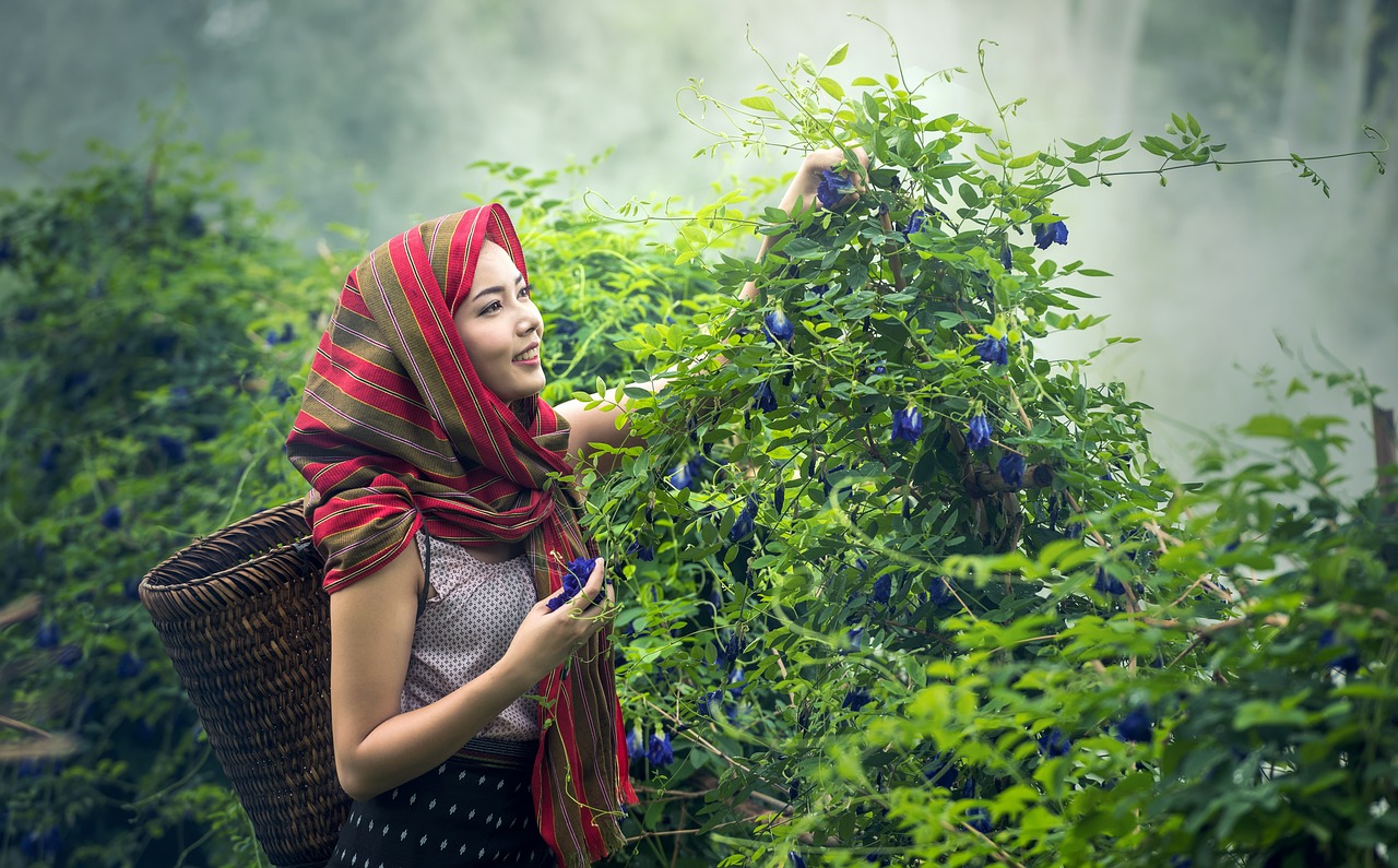 The Impact of Climate Change on Female Farmers